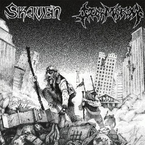 Skaven : Skaven - Stormcrow